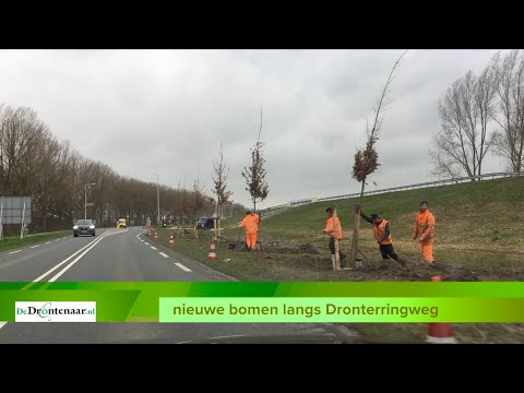 VIDEO | Provincie Flevoland is begonnen met planten van 348 eiken langs de Dronterringweg VIDEO | Provincie Flevoland is begonnen met planten van 348 eiken langs de Dronterringweg