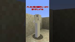 この「景色」、人間が混ざってる。【マイクラ】