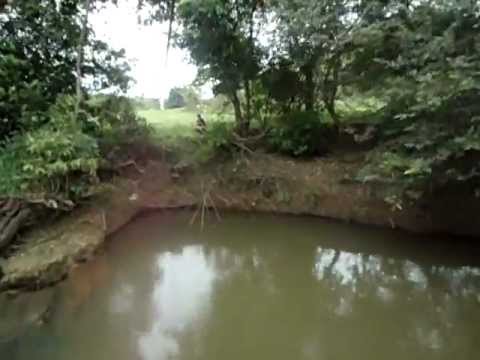 Fabimtirolesa(tio bima)