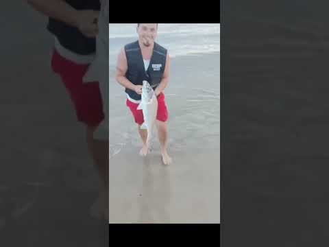 Pesca de Corvina "Carbonera" el Apa en La Floresta Uruguay