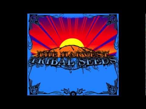 Tribal Seeds - The Harvest