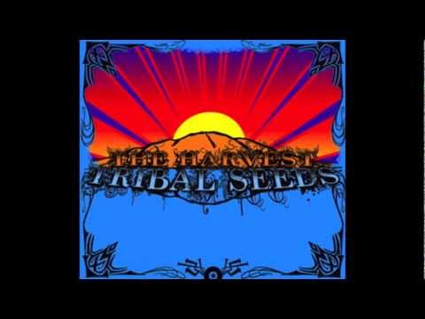 Tribal seeds- The Harvest(lyrics)