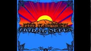 Tribal seeds- The Harvest(lyrics)