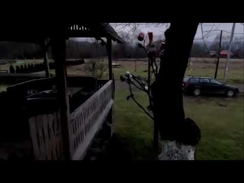 THE GORGAN HOUSE ( PENSIUNEA LA GORGAN ) VADU IZEI FAST VIDEO #gopro12#travel #viral