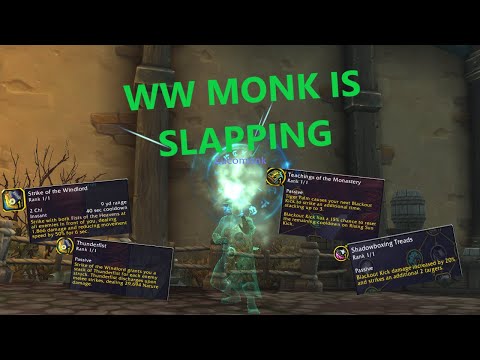 Wind Walker Monk is SLAPPING In Dragonflight!