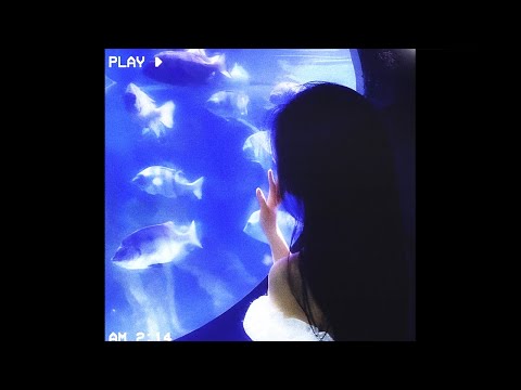 [FREE] Makko x Pashanim x DnB Type Beat - "NORDEN"