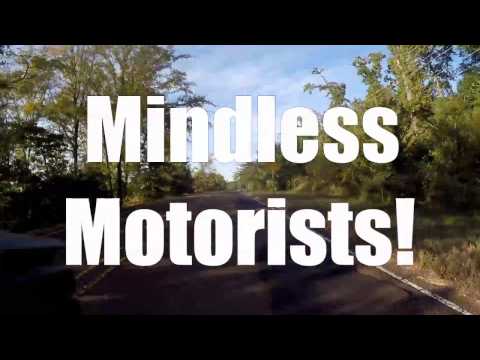 Mindless Motorists 011