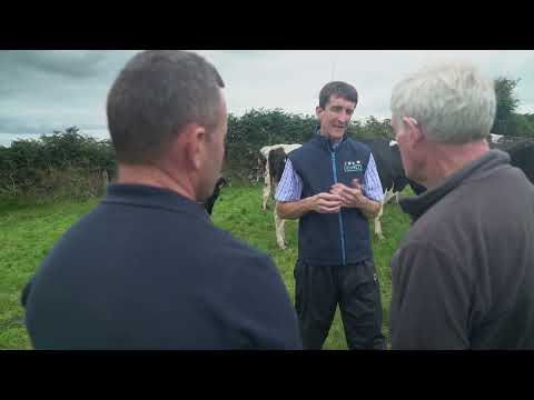 Salmonella control - Tom Power, Dairy Farmer