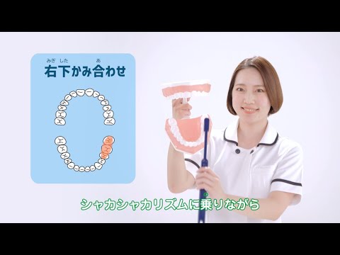 歯を磨く頻度はどれくらいですか?ルールは思っているよりも重要です