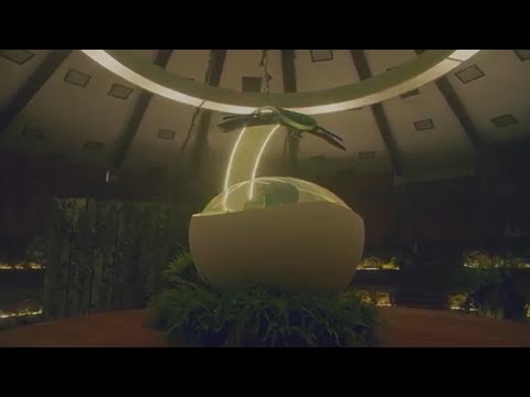 Video preview