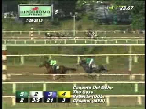 5ta carrera sabado 26 de enero de 2013 hpr