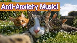 12 Hours of Calming Music for Cats 🐱 Natural Sleep & Relaxation Aid ☀️
