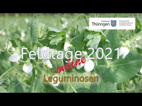 Feldtag Leguminosen 2021