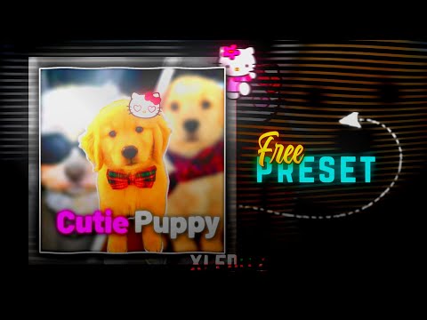 KITTY TREND CUTE PUPPY 💗 || Ae inspired edit alight motion preset || Alight Motion Edit