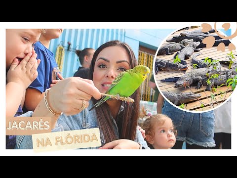 JACARÉS E PASSARINHOS POR TODA PARTE! - FLÁVIA CALINA