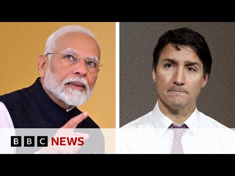 Video | How the India-Canada fallout could affect trade and immigration | BBC News