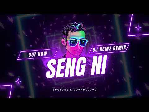 Seng Ni - Heinz Remix (4K Music Visualizer)
