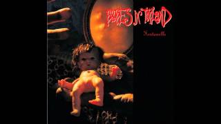 Babes in Toyland - Blood