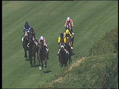 Galoppo 25/05/2016 - 3° corsa