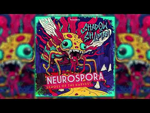 Shadow Shaman - Hive Rise