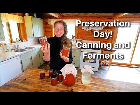 Canning Day! Rhubarb BBQ Sauce, Relish & Starting Fermented Drinks from Scratch