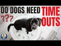 Time Outs For Dogs Does Your Dog Need One 34