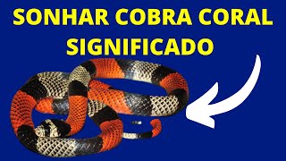 SONHAR COM COBRA CORAL: SIGNIFICADO DE SONHAR COM COBRA CORAL