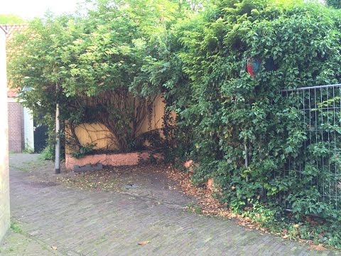 Sloop voormalig discotheek Palermo in Bergen NH