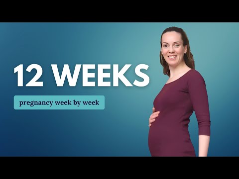 12 Weeks Pregnant 🤰 What to Expect: Changes for You & Baby Development