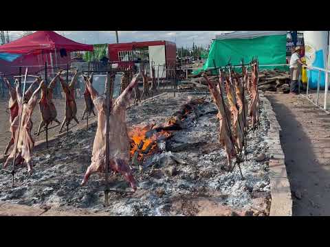 Malargüe: Nuestra primera aventura (Fiesta Nacional del Chivo) 🇦🇷 | Panda Adventure