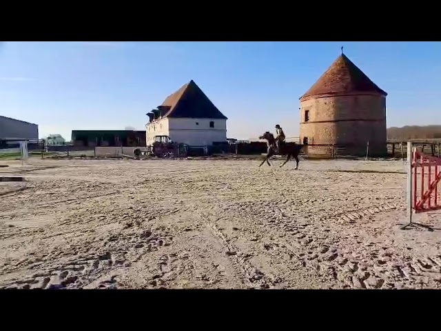 Jument amateur &eacute;lite 