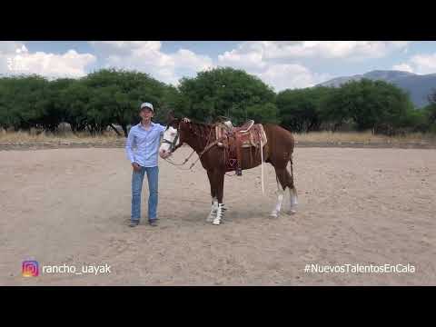 E4P5 - Nuevos Talentos En Cala - Alex Mier, Jesús Ponce y Jesús Martínez