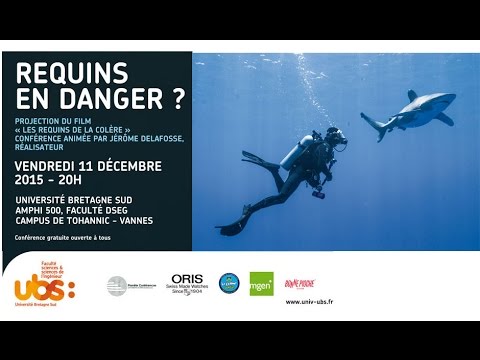Planète conférences : Requins en danger - Débat en présence du réalisateur, Jérôme Delafosse.
