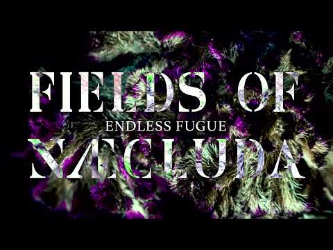 Fields of Næcluda - Endless Fugue