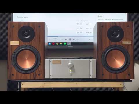 Audio Phonic G7 bookshelf speaker Sound test(Wood Vinyl)