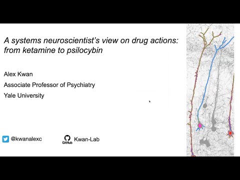 A systems neuroscientist's view on drug actions: from ketamine to psilocybin - Alex Kwan