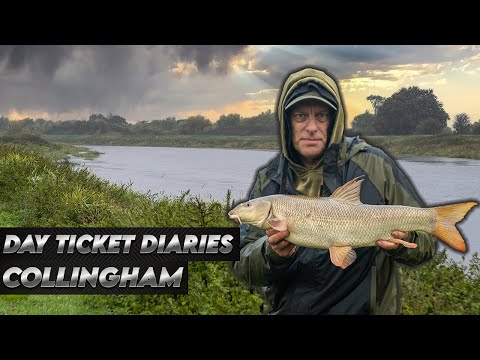 Day Ticket Diaries | Collingham | River trent Barbel