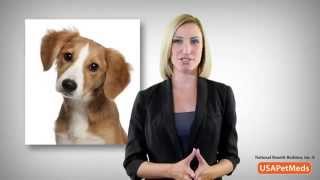 Pet Meds USA -  Free Rx Card - Best Prices on Pet Meds Online