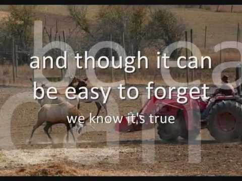 Special Vibe - Animals Make Life Better!