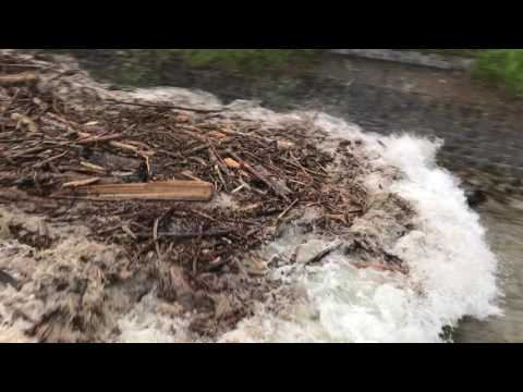 Laui Giswil 31.5.2017, 20.07, Hochwasser Flutwelle nach Gewitter im Einzugsgebiet