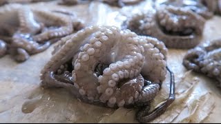 EATING STREET FOOD IN STONE TOWN, ZANZIBAR! - YouTube