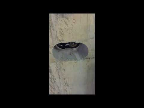 Hole In the Wall!   Hatton Garden Robbery Safety Deposit Box After Raid