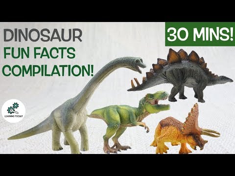 Learn about DINOSAURS! | Fun & Educational Compilation | Dinosaur Facts