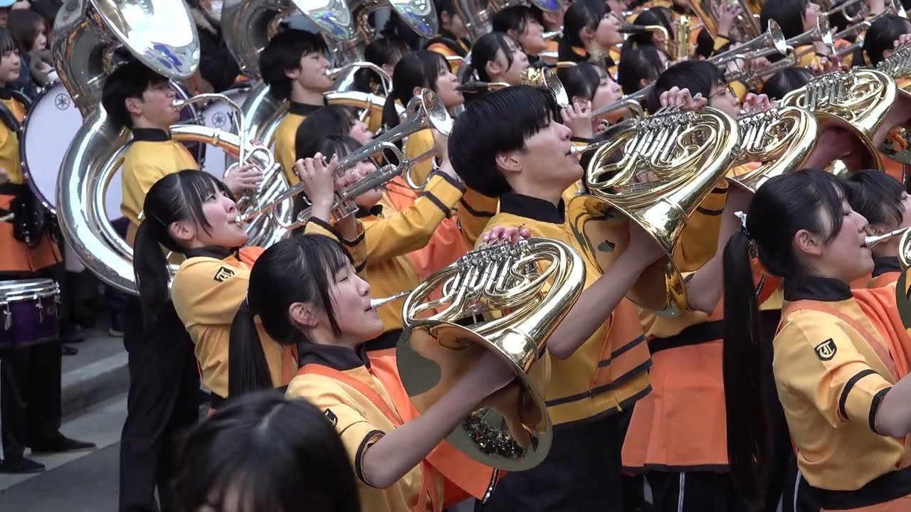 Fushimi Wakuwaku Festa 2026 / Drill / Kyoto Tachibana SHS Band