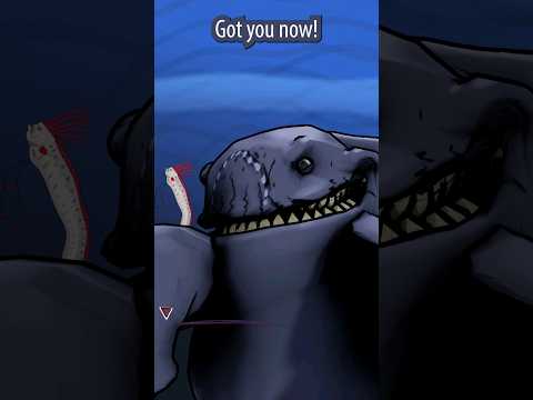 Bloop takes a break with Oarfish