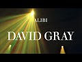 David Gray - Alibi - Radio Edit (Official Audio)