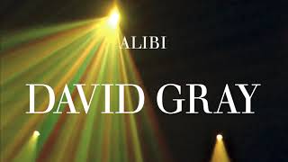 David Gray - Alibi - Radio Edit (Official Audio)