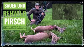 Rehwild und Schwarzwild | Abendpirsch | Schwarzwaldhunters
