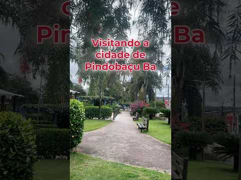 Pindobaçu Ba