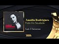 Amália Rodrigues - Fado da Saudade
